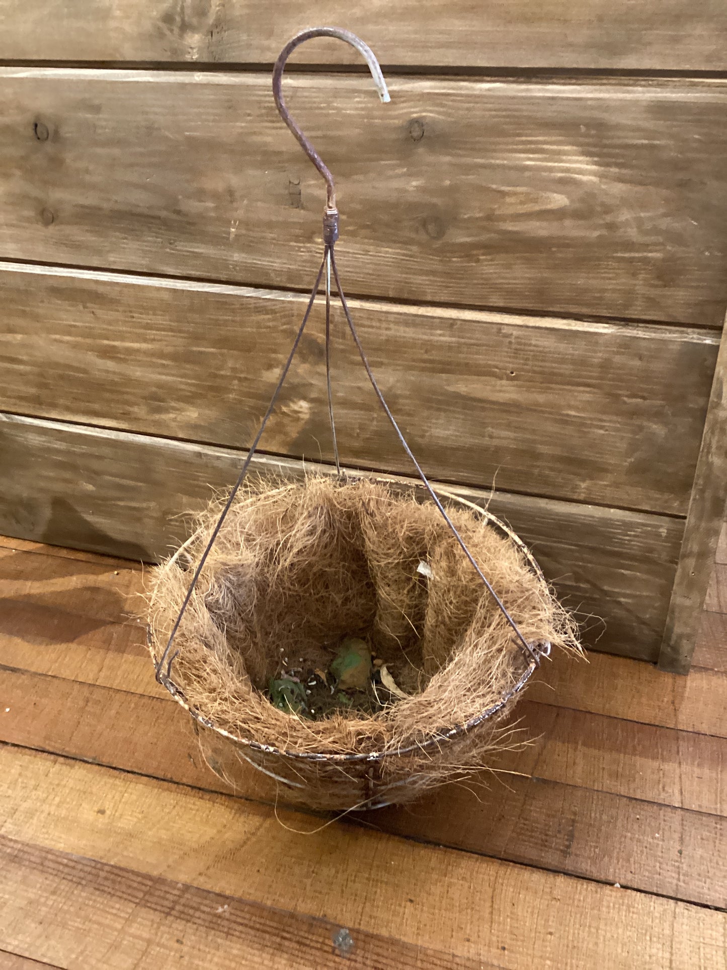Wire Plant Hanger