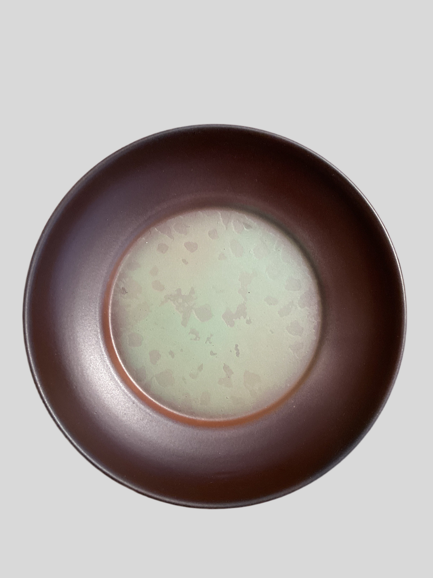 Plant Saucer #2